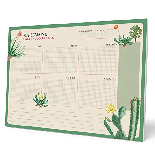 Grupo Erik Wochenplaner Tischkalender Block A4 - Kalender Planer Botanical Cacti auf Französisch - Tischplaner A4 ohne festes Datum von Kokonote