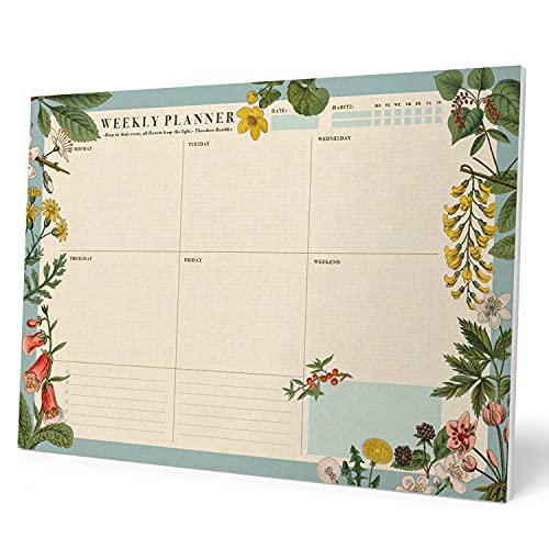 Kokonote Wochenplaner Tischkalender Block - Kalender Planer - Tischplaner A3 ohne festes Datum - Schreibunterlage auf Englisch von Kokonote