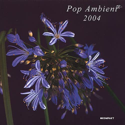 Pop Ambient 2004 [Vinyl LP] von Kompakt Schallplatten (Rough Trade)