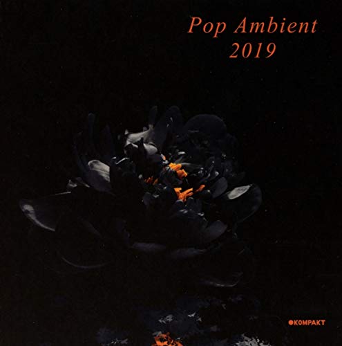 Pop Ambient 2019 von Kompakt