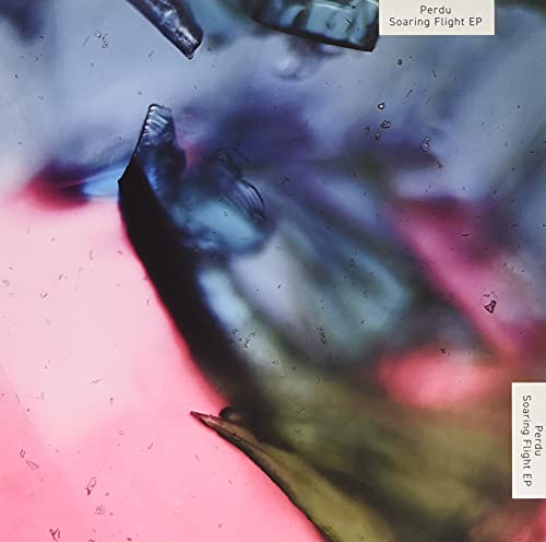 Soaring Flight [VINYL] [Vinyl LP] von Kompakt