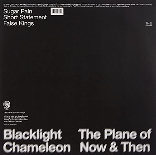 The Plane Of Now & Then [VINYL] [Vinyl LP] von Kompakt