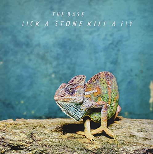 Lick a Stone Kill a Fly [Vinyl LP] von Konkord / Cargo