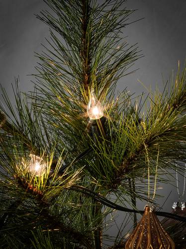 Konstsmide 1057-000 Weihnachtsbaum-Beleuchtung Außen netzbetrieben Anzahl Leuchtmittel 20 Glühlamp Konstsmide 1057-000 Weihnachtsbaum-Beleuchtung Außen netzbetrieben Anzahl Leuchtmittel 20 Glühlamp von Konstsmide