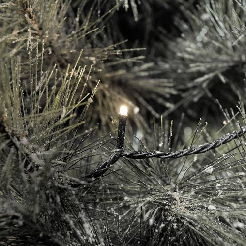 Konstsmide 3610-140 Micro-Lichterkette Außen netzbetrieben Anzahl Leuchtmittel 40 LED Warmweiß Bel von Konstsmide