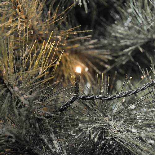 Konstsmide LED Solar-Lichterkette Lichterkette Bernstein Konstsmide LED Solar-Lichterkette Lichterkette Bernstein von Konstsmide