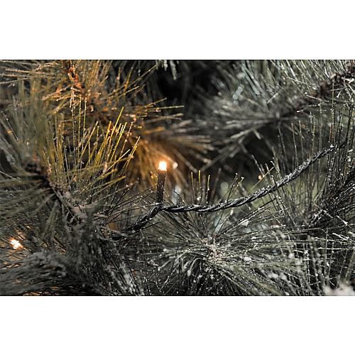 LED Außenkette 160 bernsteinf. LED 3641-810 LED Außenkette 160 bernsteinf. LED 3641-810 von Konstsmide
