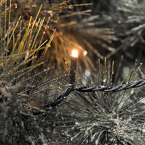 LED Lichterkette außen 400 bernsteinf. LED App gesteuert 6544-870 LED Lichterkette außen 400 bernsteinf. LED App gesteuert 6544-870 von Konstsmide
