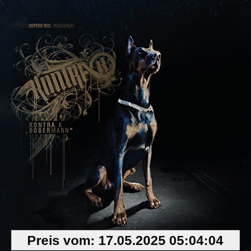 Dobermann Dobermann von Kontra K