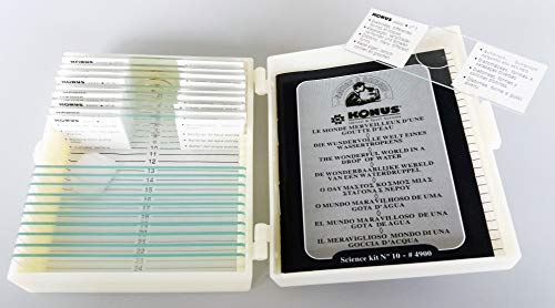 KONUS | Nr. 10 vorbereitete Microscope Slides: Biologie 1 - Die Welt in einem Tropfen von Konus