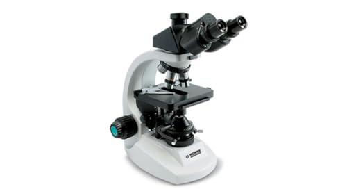 Konus | Infinity-2 Binokulares Mikroskop mit 1000fachem Zoom von Konus