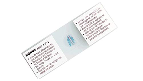 KONUS | Nr. 10 vorbereitete Microscope Slides: Biologie 1 - Zellvermehrung von Konus