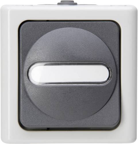 Kopp 560756009 1 Stück Feuchtraum-Schalterprogramm Komplett Kreuzschalter BlueElectric Grau Kopp 560756009 1 Stück Feuchtraum-Schalterprogramm Komplett Kreuzschalter BlueElectric Grau von Kopp