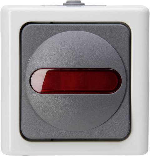 Kopp 561656007 Feuchtraum-Schalterprogramm Komplett Kontrollschalter BlueElectric Grau Kopp 561656007 Feuchtraum-Schalterprogramm Komplett Kontrollschalter BlueElectric Grau von Kopp