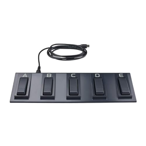 KORG EC5 Externer Controller 5-Pedal-Pedaleinheit für KORG Arranger-Keyboards von Korg