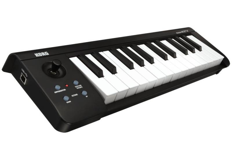 Korg microKey 25 von Korg