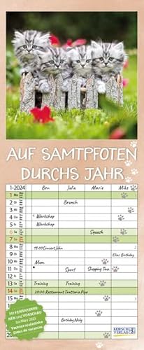 Auf Samtpfoten durch's Jahr - Familienplaner 2024 für 4 Personen - Korsch-Verlag - Kalender mit 4 Spalten zum Eintragen - 19 cm x 46 cm von Korsch Verlag