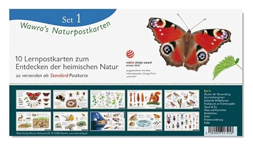 Korsch Verlag Wawra´s Naturpostkarten Set 1-10 Postkarten im Set zum Entdecken, Beobachten, Bestimmen - Lernpostkarten - 22 cm x 12 cm von Korsch Verlag