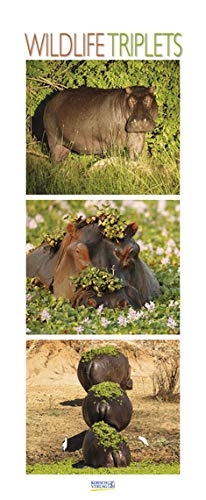 Wildlife Triplets - Kalender 2021 - Hochformat - Korsch-Verlag - Fotokunst - Vertikal-Kalender mit Triplets - 29 cm x 68,7 cm von Korsch Verlag