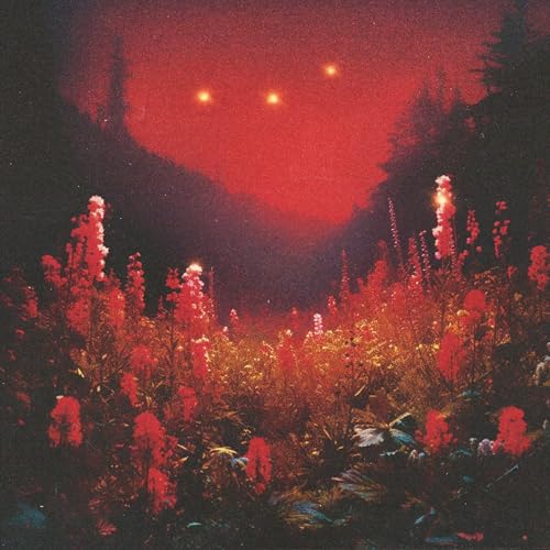 Superbloom [Vinyl LP] von KotiSIG