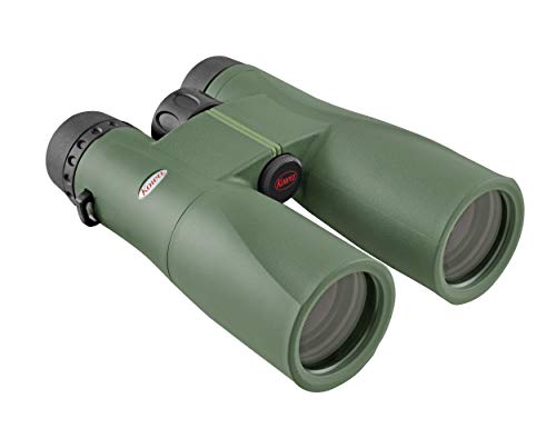 Kowa Fernglas SV II 8x42 wasserdicht, stickstoffgefüllt und mit ergonomisch gummiarmierten Gehäuse. Naturbeobachtung. Für Kinder und Erwachsene von Kowa