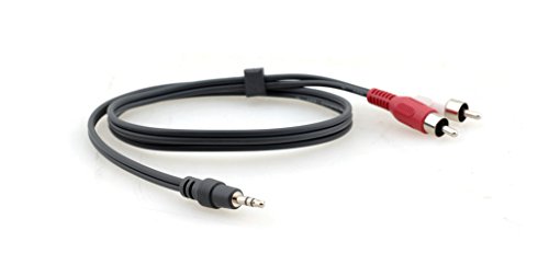 Kramer Electronics C-A35M/2RAM-10 Audiokabel 3 m 3,5 mm 2 x RCA Schwarz von Kramer