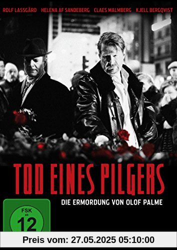 Tod eines Pilgers - Miniserie [2 DVDs] von Kristoffer Nyholm