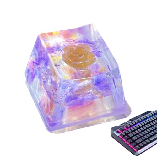 Krujecnt Harz-Tastenkappen,Tastatur-Tastenkappen Harz-Rücktaste,Resin Trockenblumen Schlüsselkappe | Game-Tastatur-Tastenkappe, DIY-Ersatz, durchscheinend, R4-Tastenkappe für mechanische Tastatur von Krujecnt