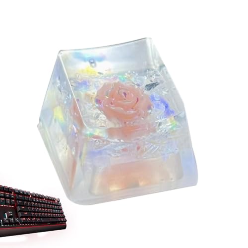 Krujecnt Tastatur-Tastenkappen aus Kunstharz, Backspace, Trockenblumen-Tastatur-Tastenkappe,Resin Trockenblumen Spiel Tastatur Schlüsselkappe - Spieltastatur, durchscheinend, Ersatz, von Krujecnt