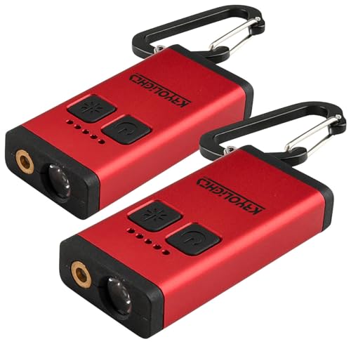 KryoLights Schlüsselanhänger: 2er-Set Mini-Taschenlampe mit Laserpointer, 3 W, 80 lm, Akku, dimmbar (Laserpointer Katzenspielzeug, rot USB, Karabiner) von KryoLights