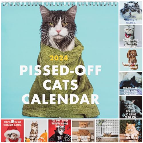 Pissed-Off Cats Kalender 2024 – Lustiger Katzen-Wandkalender, Kreativer Kalender, Katzen-Hängekalender, 12-Monats-Katzenkalender Mit Hässlicher Katze, Lustige Kunst, Neuheit, Hässliche Katze, Geschenk von Kunoli