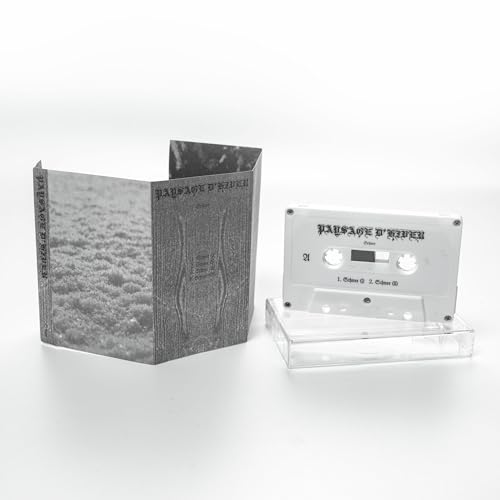 Schnee [Musikkassette] von Kunsthall