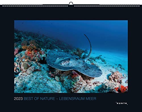 Best of Nature - Kalender 2023 - Lebensraum Meer - Kunth-Verlag - Wandkalender mit zauberhaften Aufnahmen - 60 cm x 45 cm von Kunth
