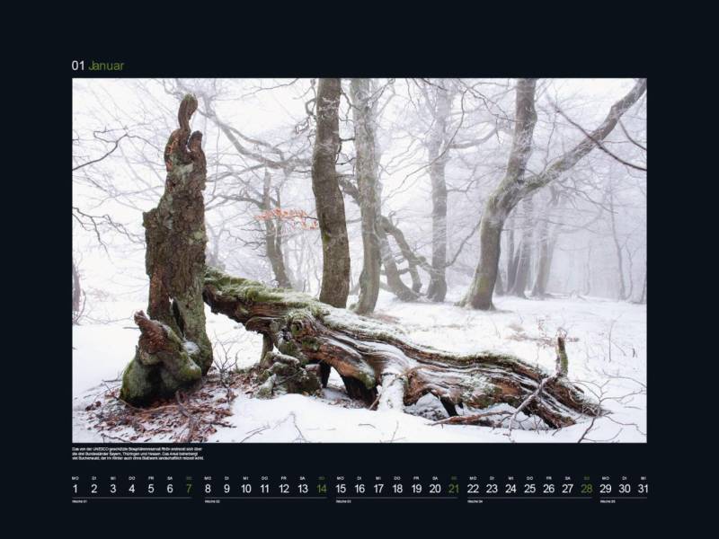 Kunth Monats-Wandkalender 60,0 x 45,0 cm von Kunth