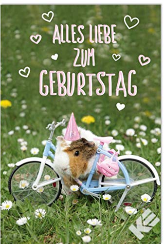 Geburtstagskarte"Meerschweinchen", B6 + Umschlag von Kurt Eulzer die Glückwunschkarte