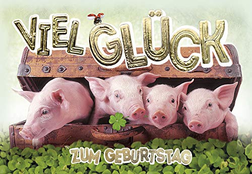 KE - Exklusive Geburtstagskarte mit Schweine-Motiv, DIN B6 Format, 176x125mm, inklusive Umschlag - Perfekt für besondere Anlässe und Feiern von Kurt Eulzer