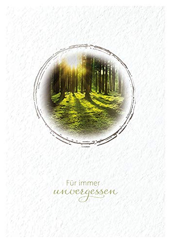 KE - Hochwertige Beileidskarte mit Umschlag, B6 Format 17,1 x 11,7 cm, einfühlsame Trauerkarte, Unvergessen Motiv von Kurt Eulzer