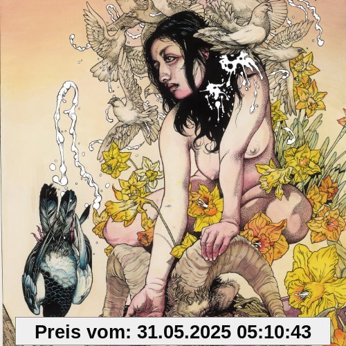 Meir von Kvelertak
