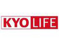 Kyocera KYOsafe Group S - Serviceerweiterung von Kyocera