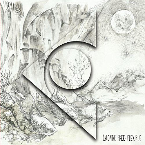 Flexible [Vinyl LP] von L'AUTRE DISTRIBUTION