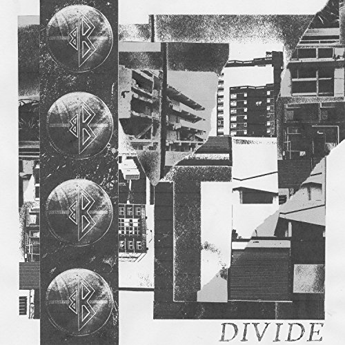 Divide [Vinyl LP] von LA VIDA ES UN MU