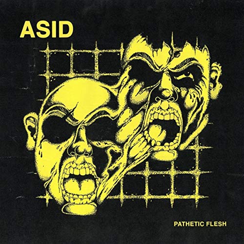 Pathetic Flesh [Vinyl LP] von LA VIDA ES UN MU