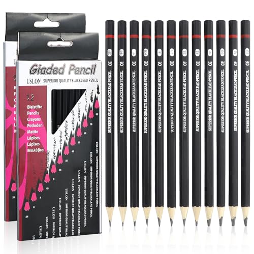 LAMXD Bleistift Set,24 Stück Zeichenstifte Skizzierstifte Set 8B 7B 6B 5B 4B 3B 2B B HB H 2H 4H Professionelle Bleistifte für Kinder Erwachsene Künstler Studenten Anfänger LAMXD Bleistift Set,24 Stück Zeichenstifte Skizzierstifte Set 8B 7B 6B 5B 4B 3B 2B B HB H 2H 4H Professionelle Bleistifte für Kinder Erwachsene Künstler Studenten Anfänger von LAMXD