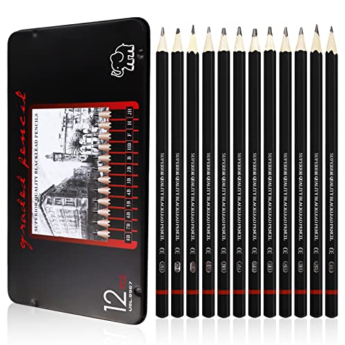 LAMXD Bleistift Set 12 Stück Schreiben Bleistifte, 8B 7B 6B 5B 4B 3B 2B B HB F H 2H von LAMXD