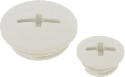 LAPP 52006670 SKINDICHT BLK-M 63X1,5 RAL 7035 LGY Verschlussschraube M63 Polystyrol Lichtgrau (RAL 7 LAPP 52006670 SKINDICHT BLK-M 63X1,5 RAL 7035 LGY Verschlussschraube M63 Polystyrol Lichtgrau (RAL 7 von LAPP