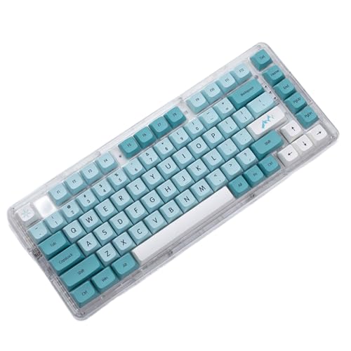 LARUISEE Keycap 125Keys XDa Profile Pbt Sublimations-Tastenkappe, blau-weiße Tastenkappe für mechanische Tastaturen, Schalter, 125 Tasten von LARUISEE