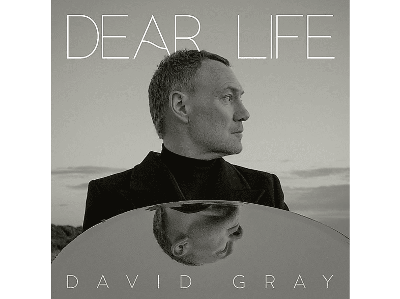 David Gray - Dear Life (CD) von LAUGH A MI