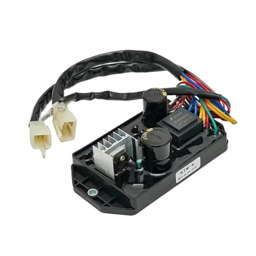 LAYMXNDIO KTW-K Automatischer Spannungsregler, 5 kW, Schweißgerät, Dieselgenerator, automatisches Spannungsregler-Stabilisator-Steuermodul, einphasig von LAYMXNDIO