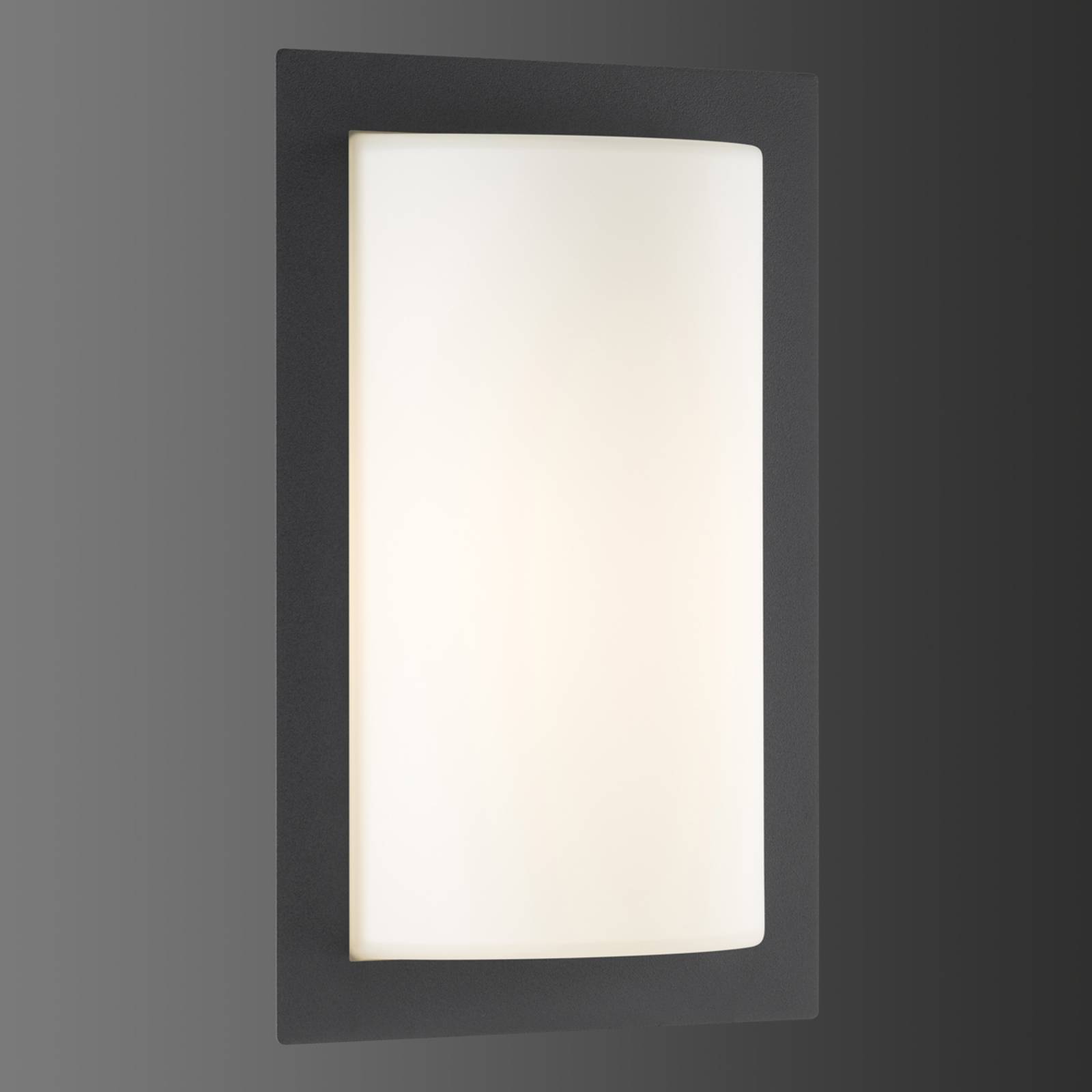LED-Außenwandlampe Luis, graphitfarben, Glas, Edelstahl LED-Außenwandlampe Luis, graphitfarben, Glas, Edelstahl von LCD