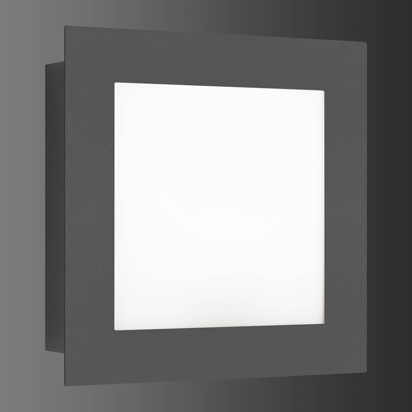 LED-Außenwandleuchte 3007LED, grafit von LCD